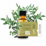 Olejek eteryczny z pistacji lentyszek - mastyks 10 ml