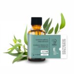 Eukaliptus gałkowy olejek eteryczny 10 ml