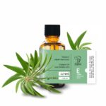 Kajeput olejek eteryczny 10 ml