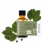 Cynamonowiec kamforowy (liść) olejek eteryczny 10 ml