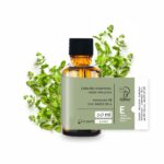 Lebiodka majeranek olejek eteryczny 50 ml
