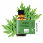 Bylica pospolita olejek eteryczny 10 ml